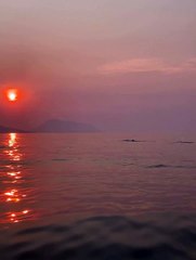 Avvistamento di una balena al largo di Panarea