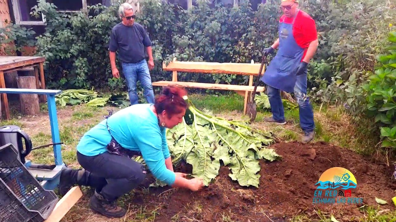 CURANTO en Chiloe