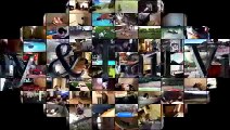 Ninja Cats - Funny Cats Compilation - Funny Ninja Cats 2016