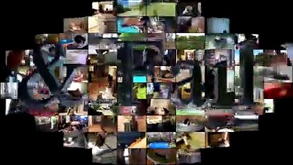 Animal Fails of the Week 4 December 2016 - Animal Fails Compilation 2016