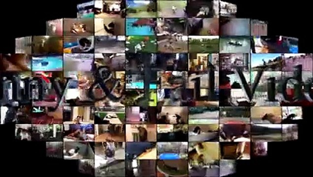 Funny Cats vs Christmas Trees - Funny Cats And Christmas Tree - Funny Cats 2016