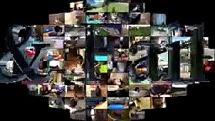 Animal Fails of the Week 1 June 2017 - Animal Fails Compilation 2017