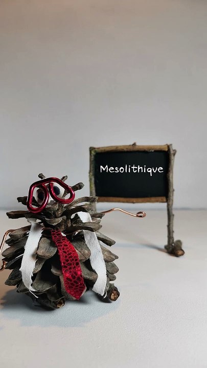 Le Mésolithique -Professeur Pin