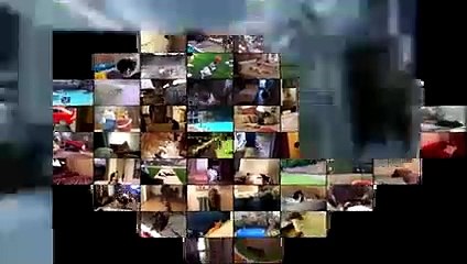 Animal Fails Compilation - Animal Fails September 2018