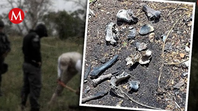 Tamaulipas, segunda entidad con más personas desaparecidas en México