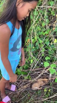 Chiots abandonnés trouvés et adoptés