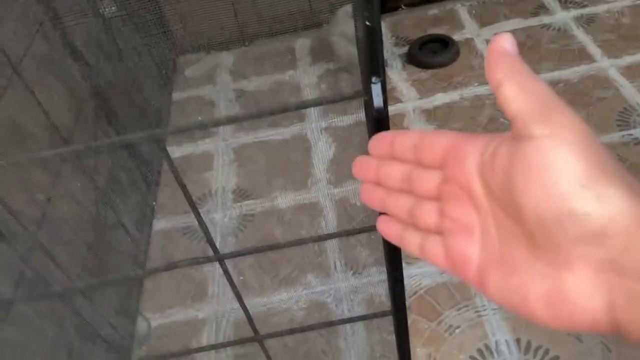 Sistrology Wali Iqra Ki Shadi Ka Invitation Aa Gaya  _ Mama Ne Sare Pets Ko Baahar Nikal Diya