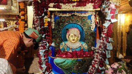 Video...सगसजी का जन्मोत्सव : उदयपुर में सजा दाता का दरबार