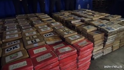 9,5 tonnellate di cocaina tra le banane, sequestro record in Spagna