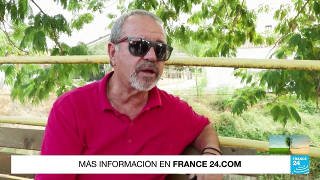 Grecia: Evros quedó reducido a cenizas tras incendio forestal