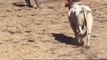 THE END ! ---funny moments _funnypictures _FunnyPinns -SofiaFunnyPin _FunnyOrDie _funnyordie -funnyvideos _FunnyQuotes _funnyquoteblog _funnyphotos _funnyp -- __prisonrodeo _wipeoutwednesday _rodeowrecks _-- _losjaripeos