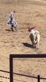 THE END ! ---funny moments _funnypictures _FunnyPinns -SofiaFunnyPin _FunnyOrDie _funnyordie -funnyvideos _FunnyQuotes _funnyquoteblog _funnyphotos _funnyp -- __prisonrodeo _wipeoutwednesday _rodeowrecks _-- _losjaripeos