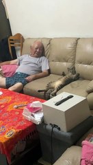 Cat Hangs Out Belly-Up With Grandpa