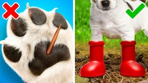 Gadgets cool pour animaux de compagnie et astuces geniales pour vos adorables chiens et chats