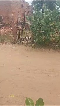 मां के प्रति इस सोच से रची पिता को सबक सिखाने की साजिश...