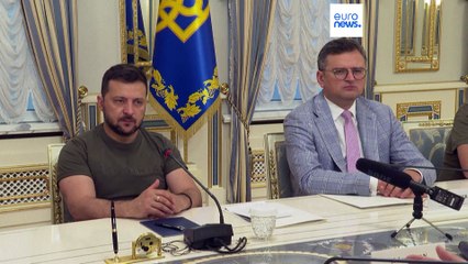 Ucraina-Turchia: confronto su grano e Formula di pace. Zelensky-Erdoğan sempre più vicini