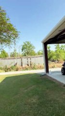 Cris de chèvre qui tournent