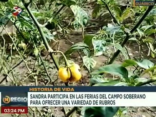 Guárico | Desde el Fundo Mi Jardín se producen más de 50 mil kilos de alimentos anualmente