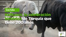 Kafkasor, la celebración histórica de Turquía que tiene 200 años