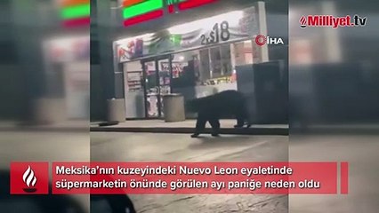 Meksika’da süpermarketin önünde görülen ayı paniğe neden oldu