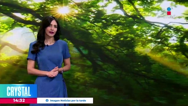 Evacúan la ciudad de Merryville por incendio forestal
