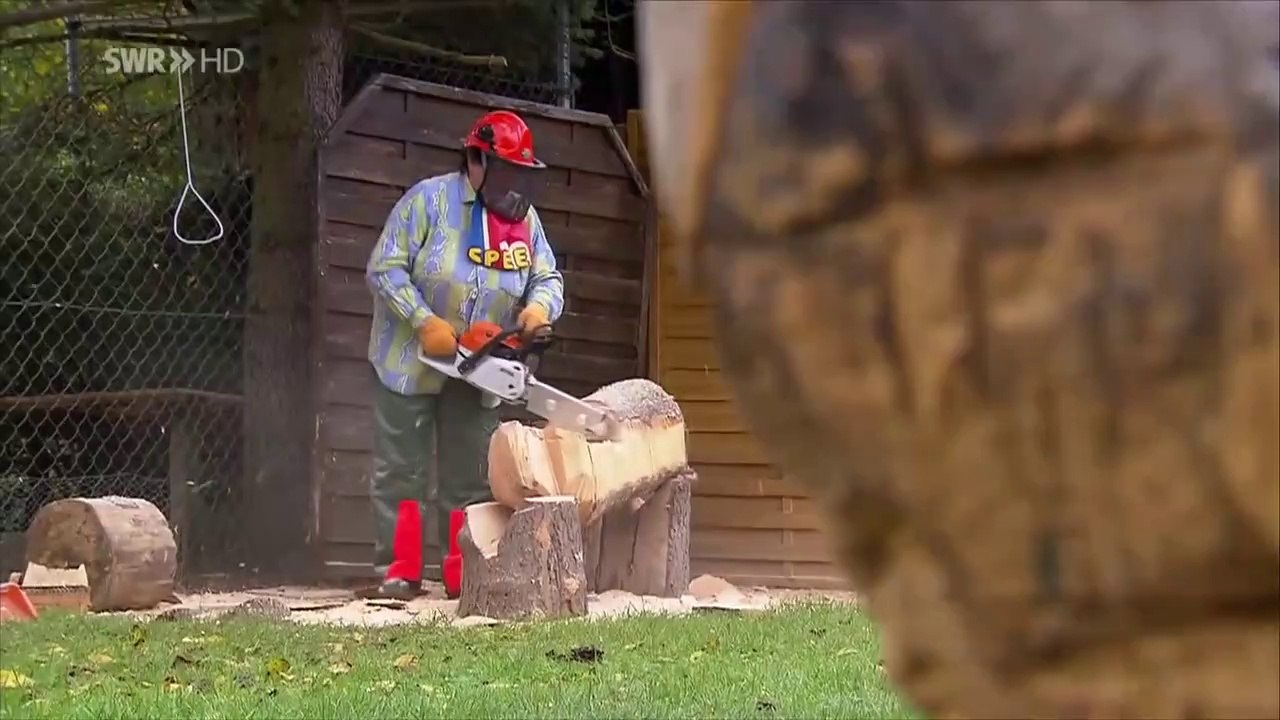 Die oma mit der kettensäge