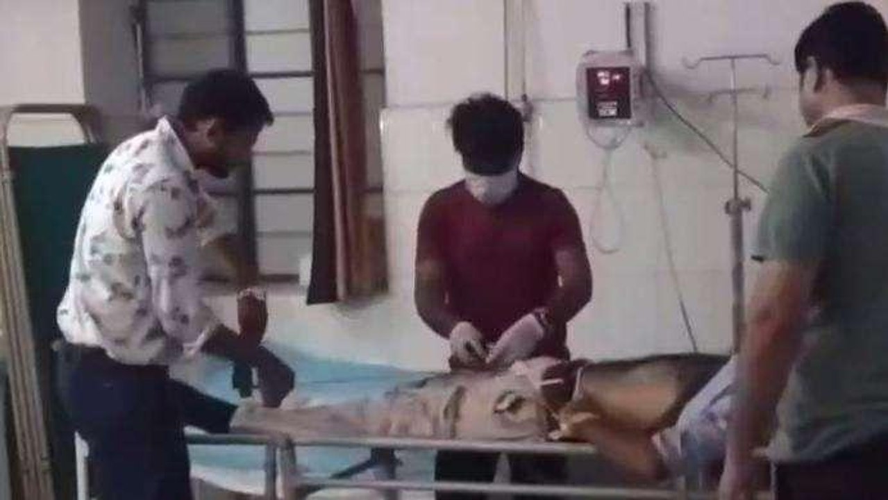 उदयपुर: पिकअप ने बाइक सवार को कुचला, हादसे में दो युवकों की हुई दर्दनाक मौत