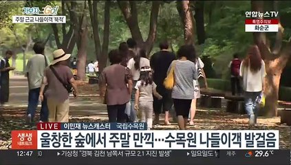 도심 벗어나 숲에서 힐링…수목원 나들이객 '북적'