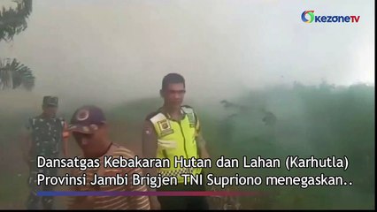 Dansatgas Karhutla Sebut Tangkap Sejumlah Pelaku Pembakaran Lahan di Jambi