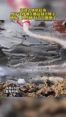 男子在海灘上撒鹽，抓蟶子一抓一大把。Men sprinkle salt on the beach and grab fistfuls of razor clams.