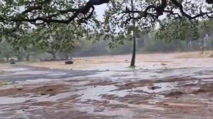 పశ్చిమగోదావరి: జిల్లాలో విస్తారంగా వర్షాలు