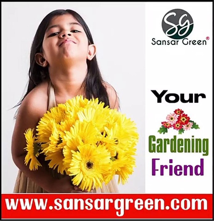 SANSAR GREEN