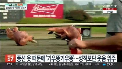 [지구촌톡톡] 이렇게 하찮은 공룡 보셨나요?…티렉스 달리기 대회 外