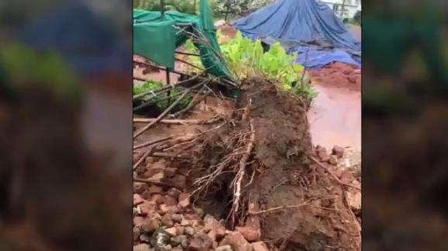 తూర్పుగోదావరి జిల్లా: భారీ వర్షానికి నేల కూలిన చెట్లు