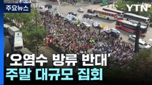'오염수 투기 반대' 주말 대규모 집회...