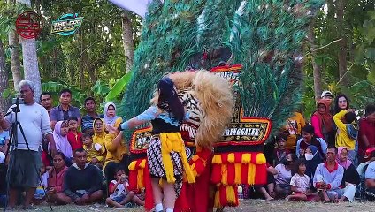 BOLO REOG TRENGGALEK live Desa Karangsoko Trenggalek HUT RI 78 2023