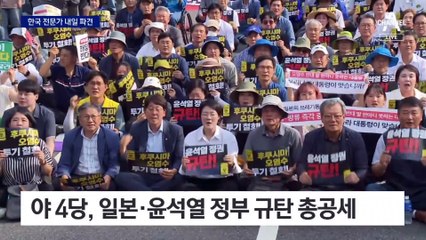 정부 오염수 전문가단 日 파견…野, ‘죽창가’ 집회