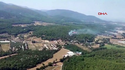 İzmir Menderes'te Orman Yangını Çıktı