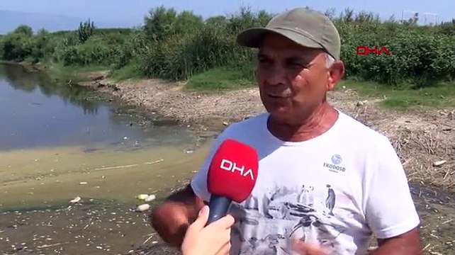 Büyük Menderes Nehri’nde yüzlerce balık öldü