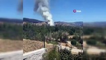 Incendie de forêt dans le district d'Ilgaz à Çankırı