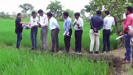 कुछ लोग मकान बनवा लेते हैं खेतों को बिना डायवर्ट कराए