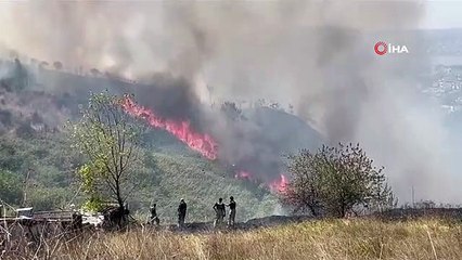 Büyükçekmece Cumhuriyet Mahallesi'nde otluk alan yangını