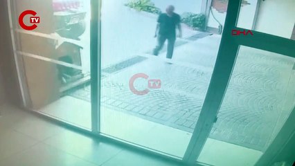 İstanbul'da Pitbull saldırısı: Yeni görüntüleri ortaya çıktı