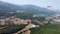 Incendie de forêt à Izmir Menderes