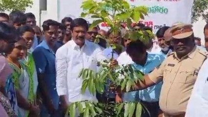 నిజామాబాద్: పచ్చదనం పెంపుదలలో నంబర్ 1 తెలంగాణ