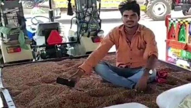 कोलारस: कृषि उपज मंडी में सोयाबीन अधिकतम ₹4900 प्रति कुंटल तक बिका