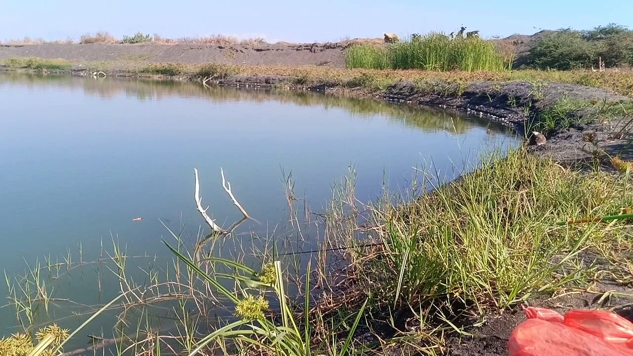 mancing malah nyangkut