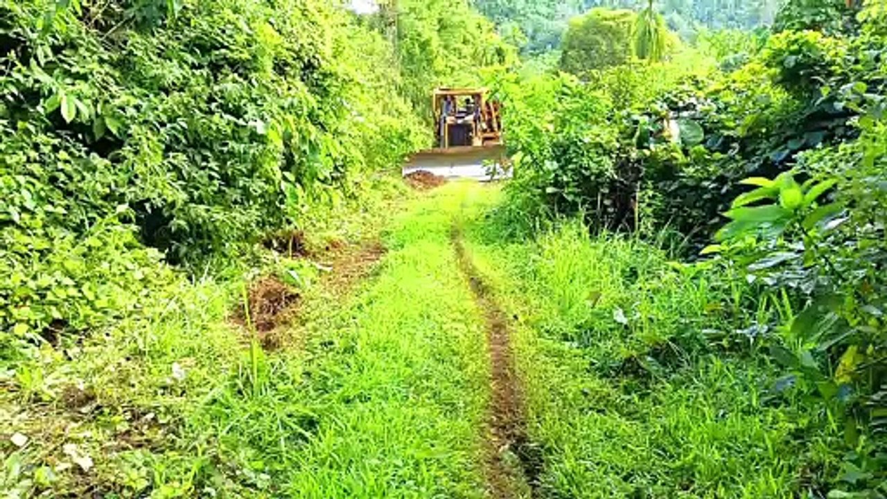 Long Road Service Rarely Traveled With D6R XL Bulldozer