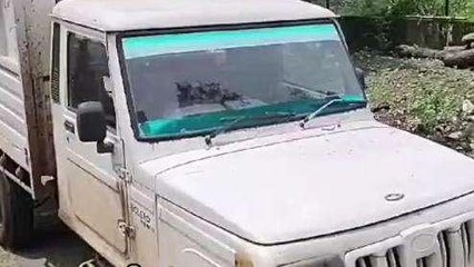 अनूपपुर: पुलिस की बड़ी कार्रवाई, गांजे के साथ वाहन को किया जब्त