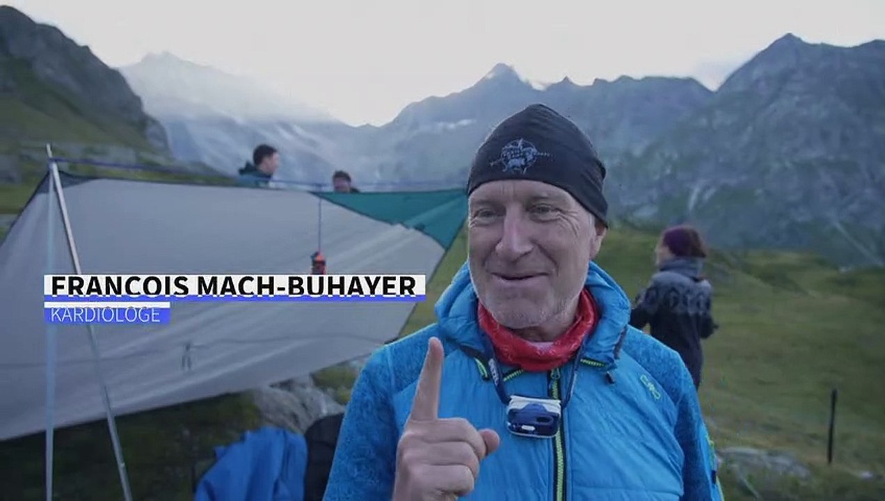 Wolfs-Nachtwache in den Schweizer Alpen